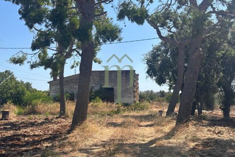Ruïna a Carovigno, Brindisi, Carovigno - € 225.000 | Ref: Casolare e Trul - foto 32